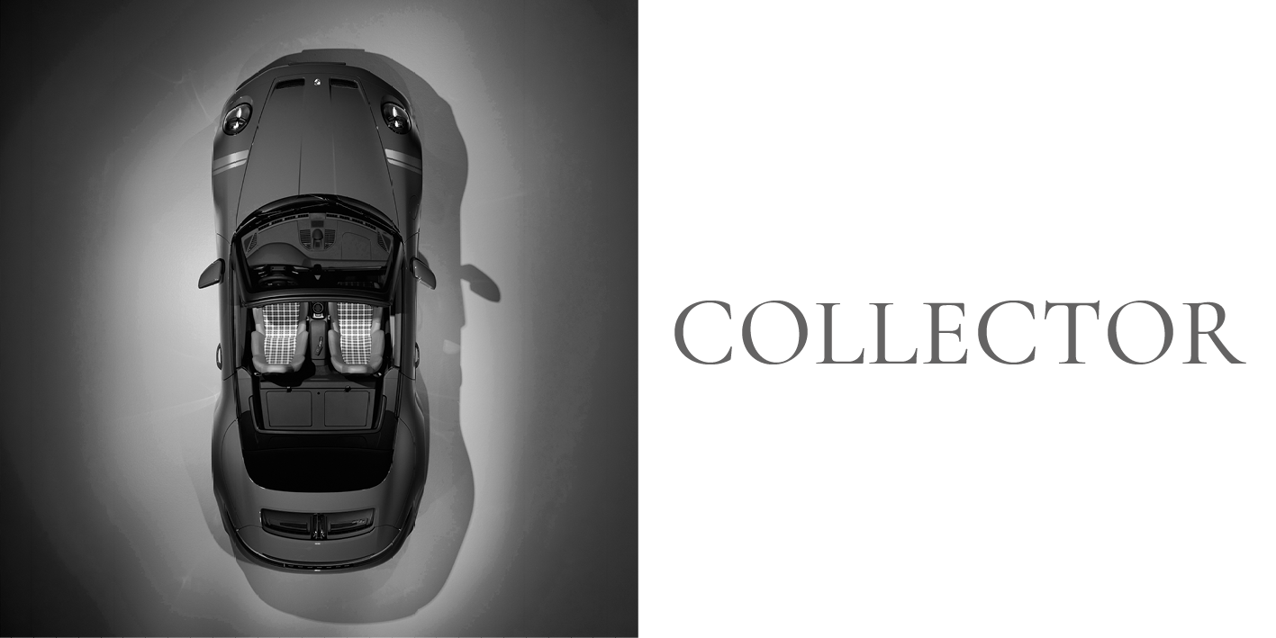 02-COLLECTOR.png