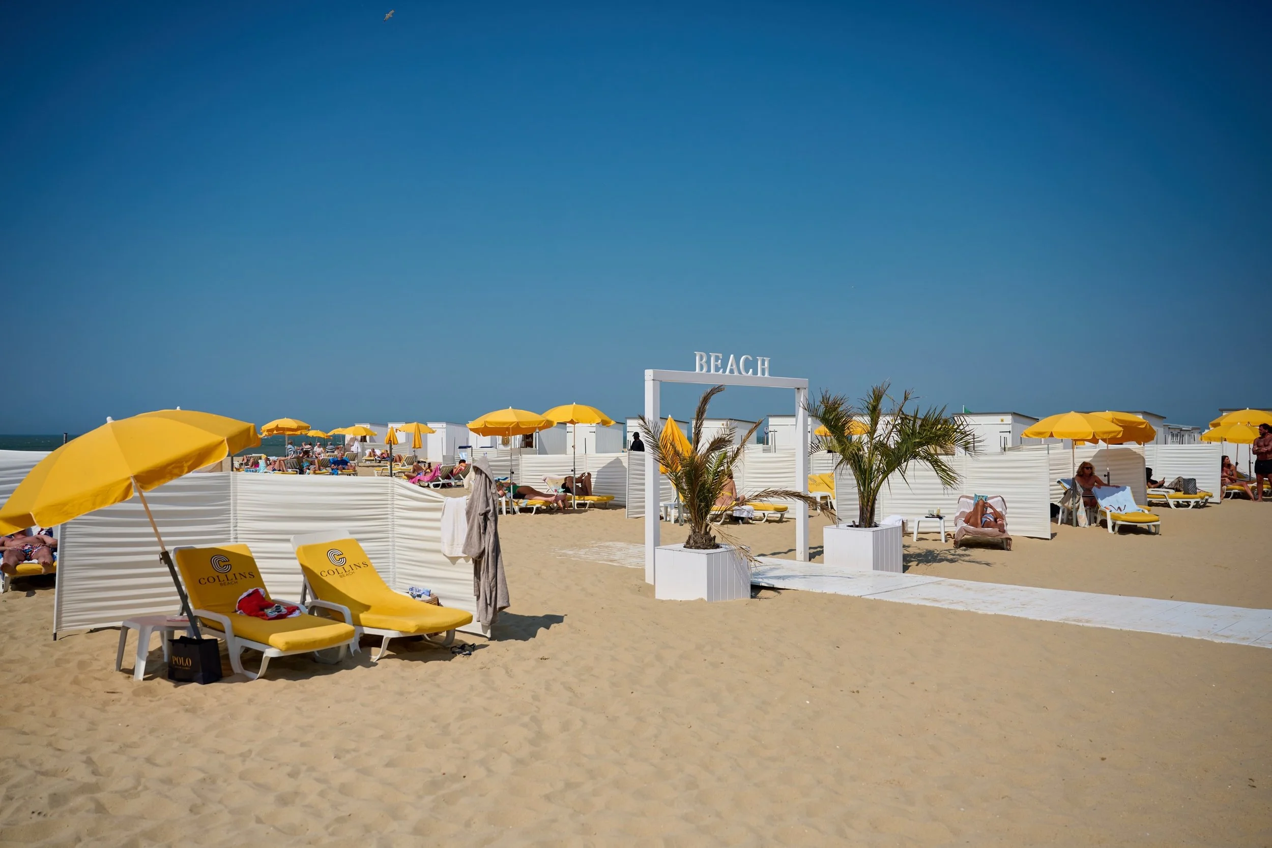 The world of Collins Club more than 30 years of beach experience — POLLEN