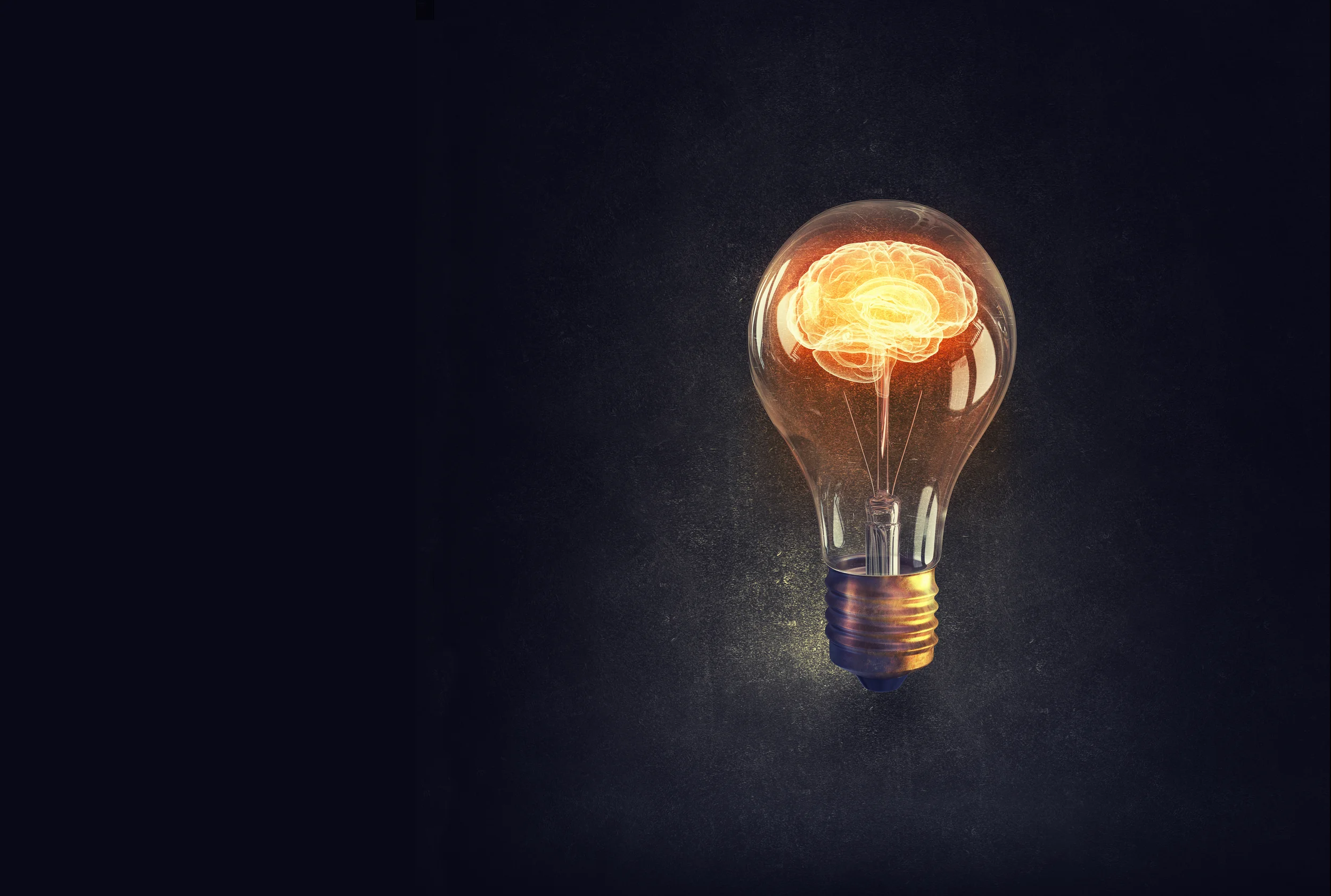AdobeStock_94893734LightBulbBrain.jpg
