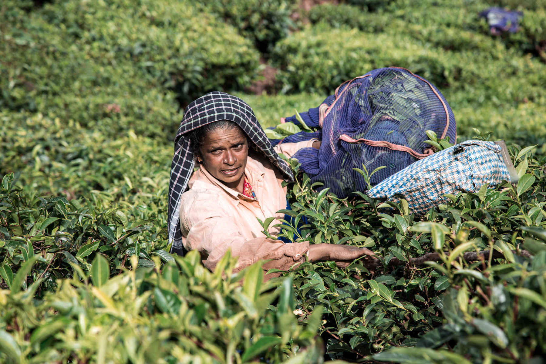 Munnarworkers-14.JPG