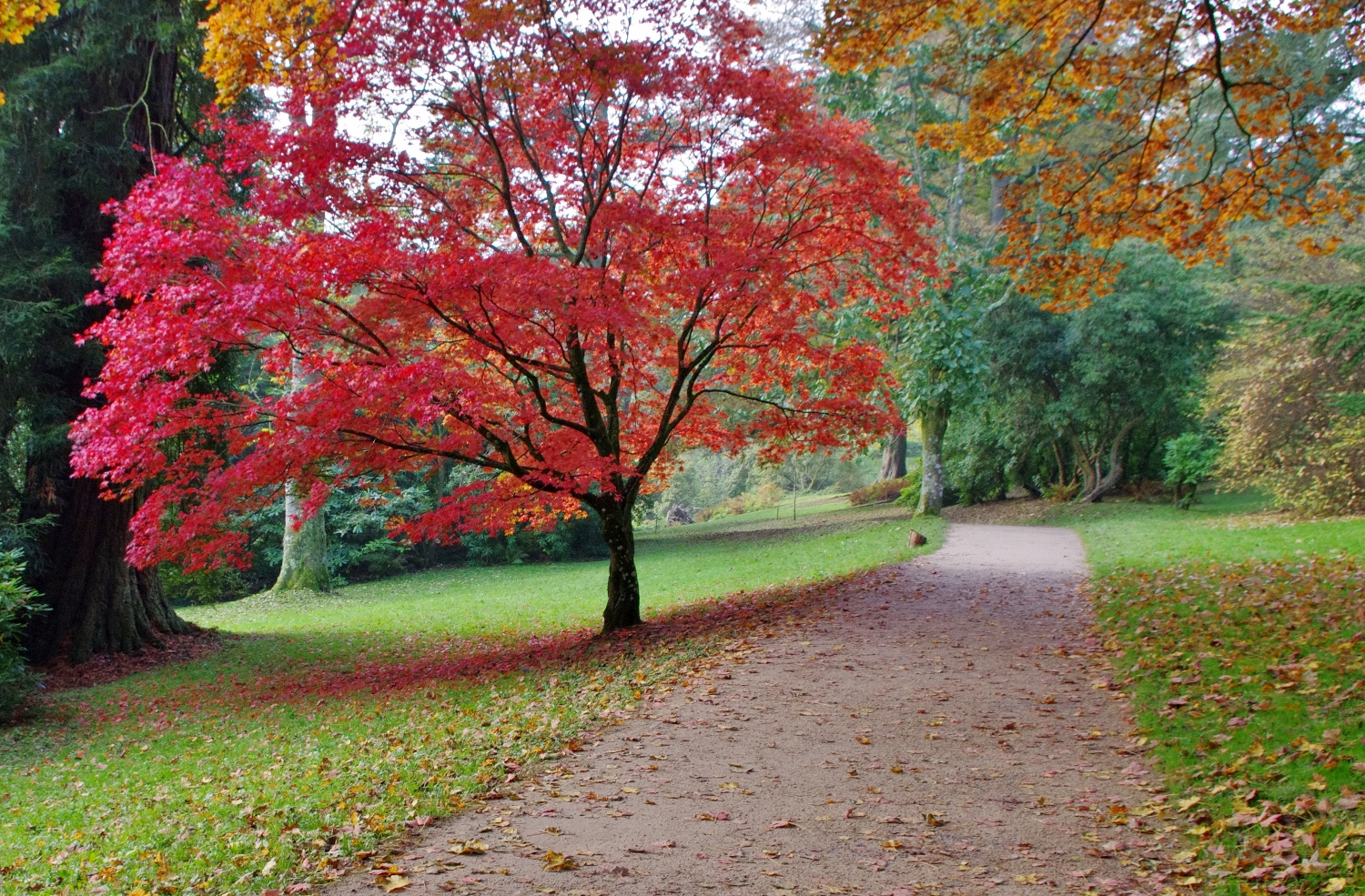 A lovely time for a quiet walk through Stourhead landscape garden