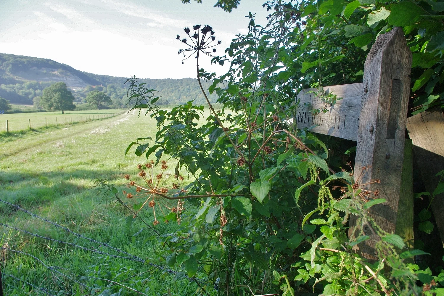 extensive network of footpaths around shillingstone