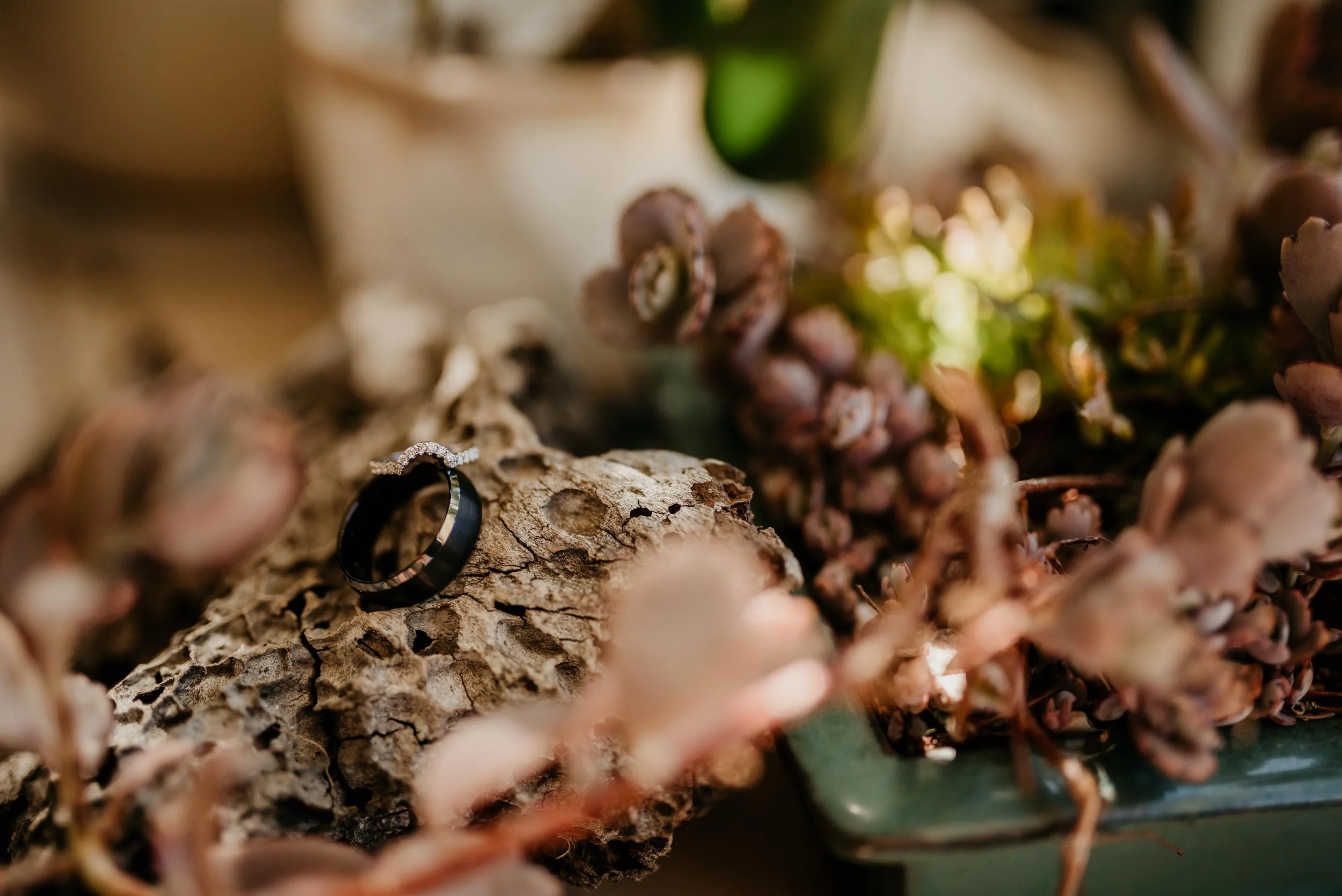 The Raw Photographer - Cairns Wedding Photographer - Atherton Tablelands - Mareeba farm Wedding - Irene Costa’s Devine Bridal - Candid - Photo Package-10.jpg