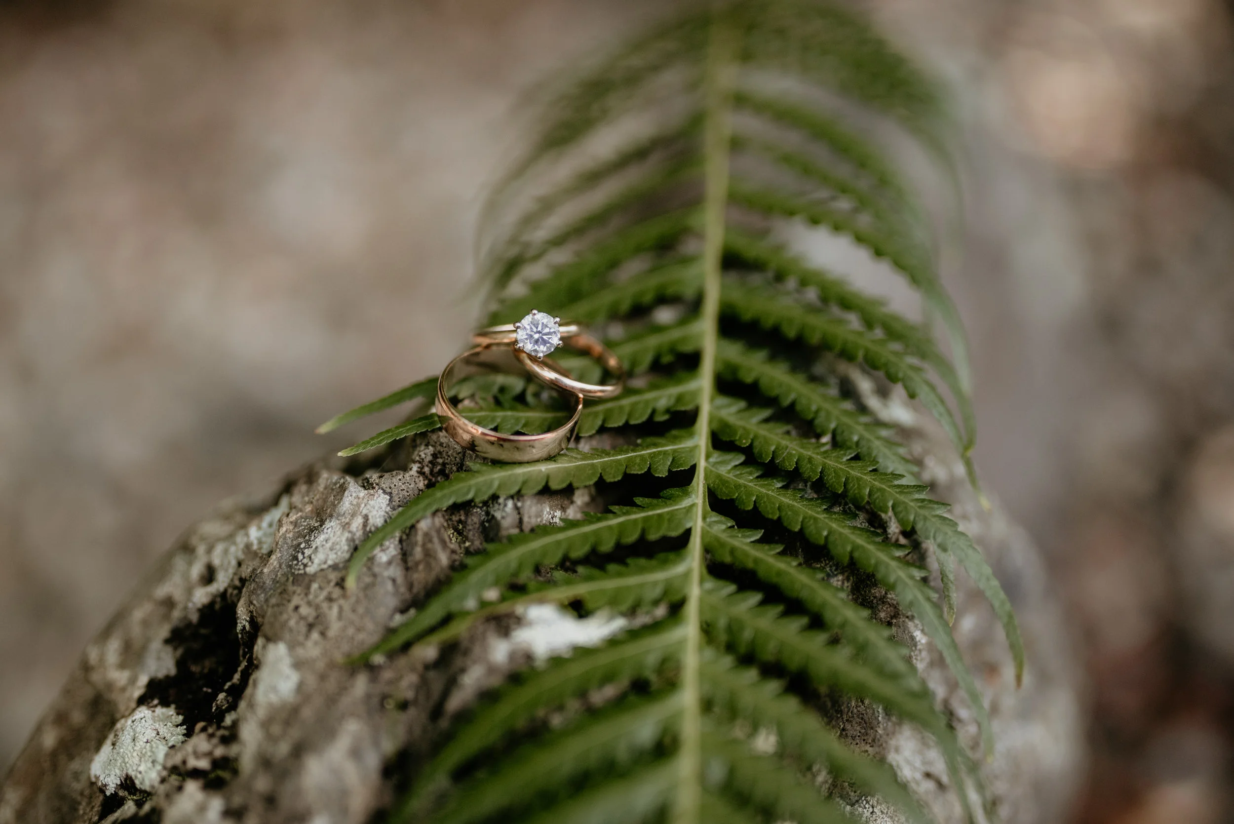The Raw Photographer - Cairns Wedding Photographer - Port Douglas Sheriton - Beach Ceremony - Candid Photography-4.jpg