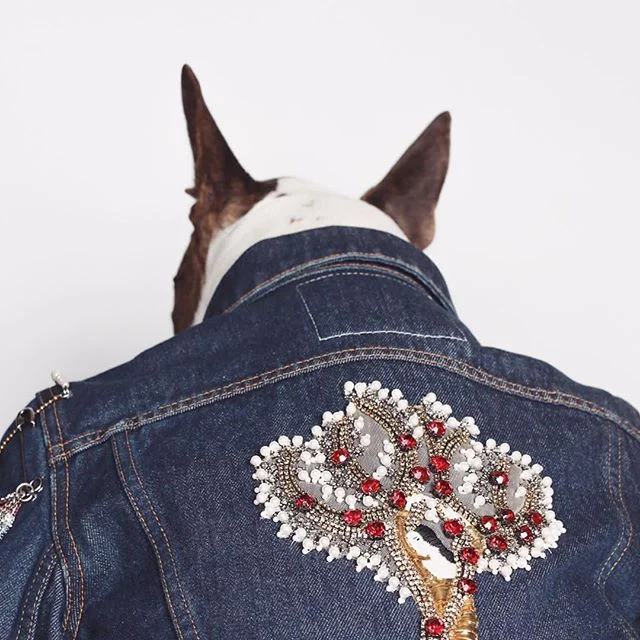 MArcJacobs_SS16_nevilleJacobs