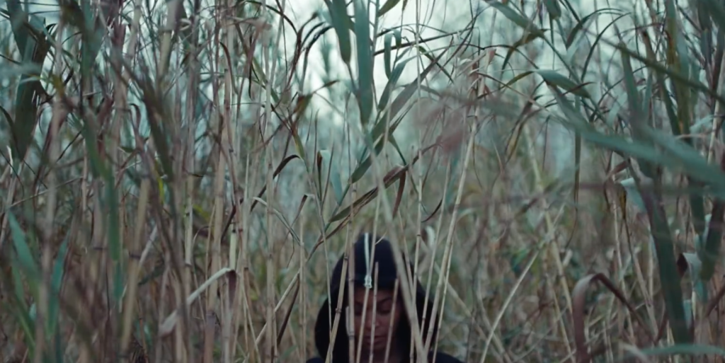 beyoncé_lemonade__hbo-1024x513.png