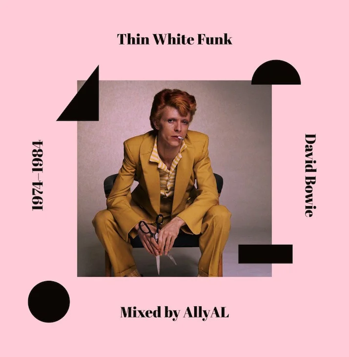 David Bowie Tribute: Thin White Funk by AllyAl