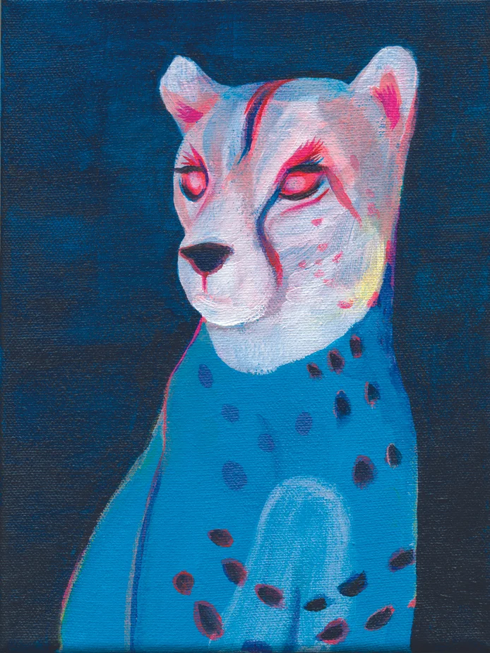 Katrien Matthys-Cheetah