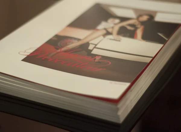 Agent provocateur book