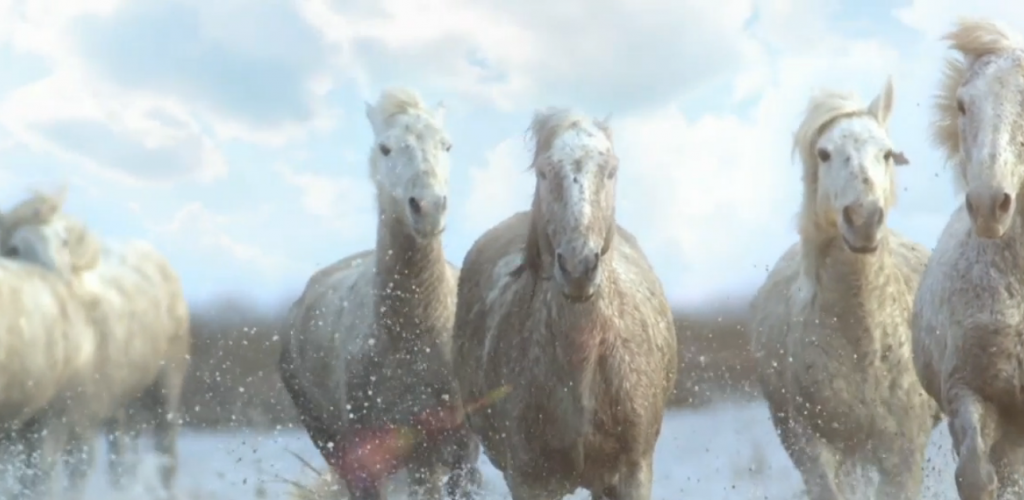 KanyeWestKimKardashianHorsesBound2