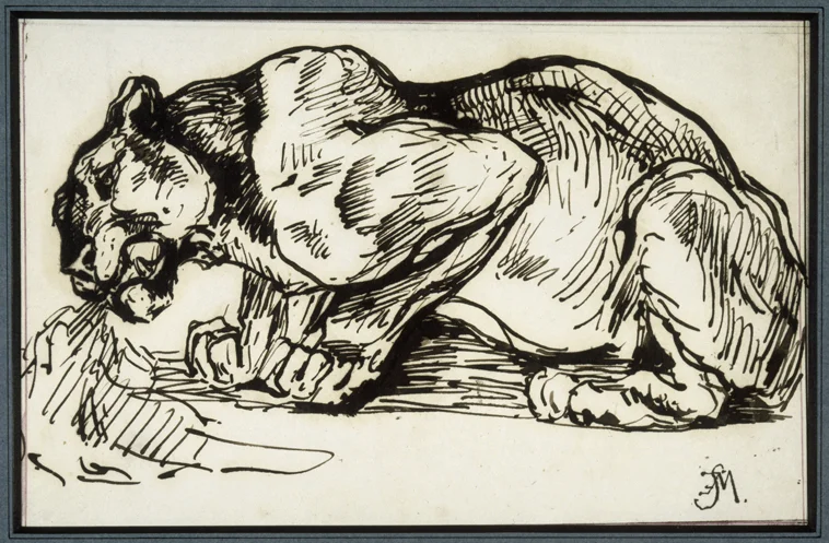 Fig. 1 – Charles Edme Saint-Marcel, Lion, pen and ink, musée Delacroix, Paris.