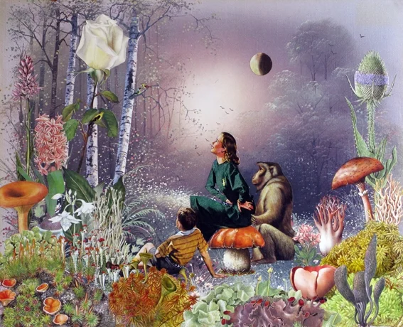 Natural Highs I, Maria Rivans, Limited Edition Print, Liberty Gallery