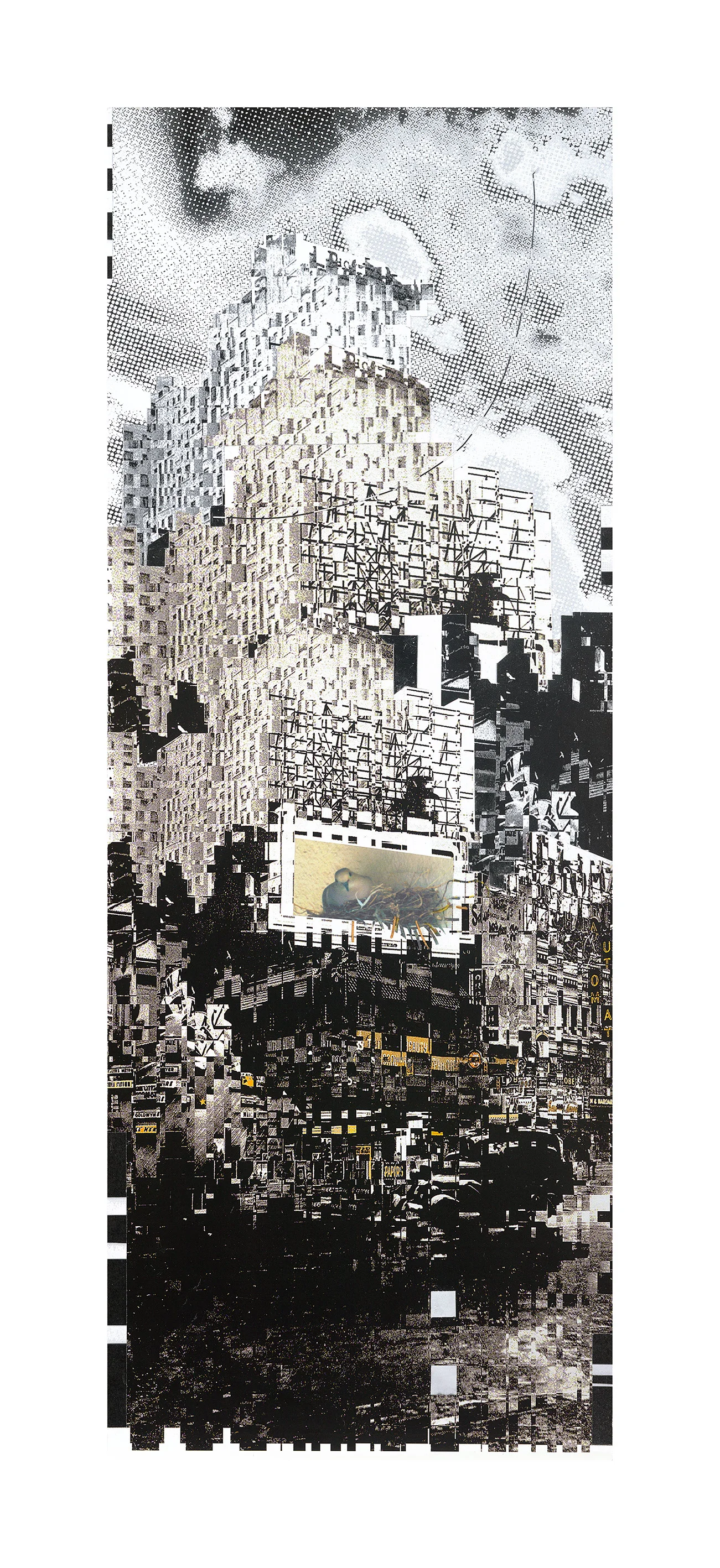 Pete Fraser - Birdland 7 .jpg