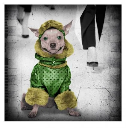 It's A Fashion Statement