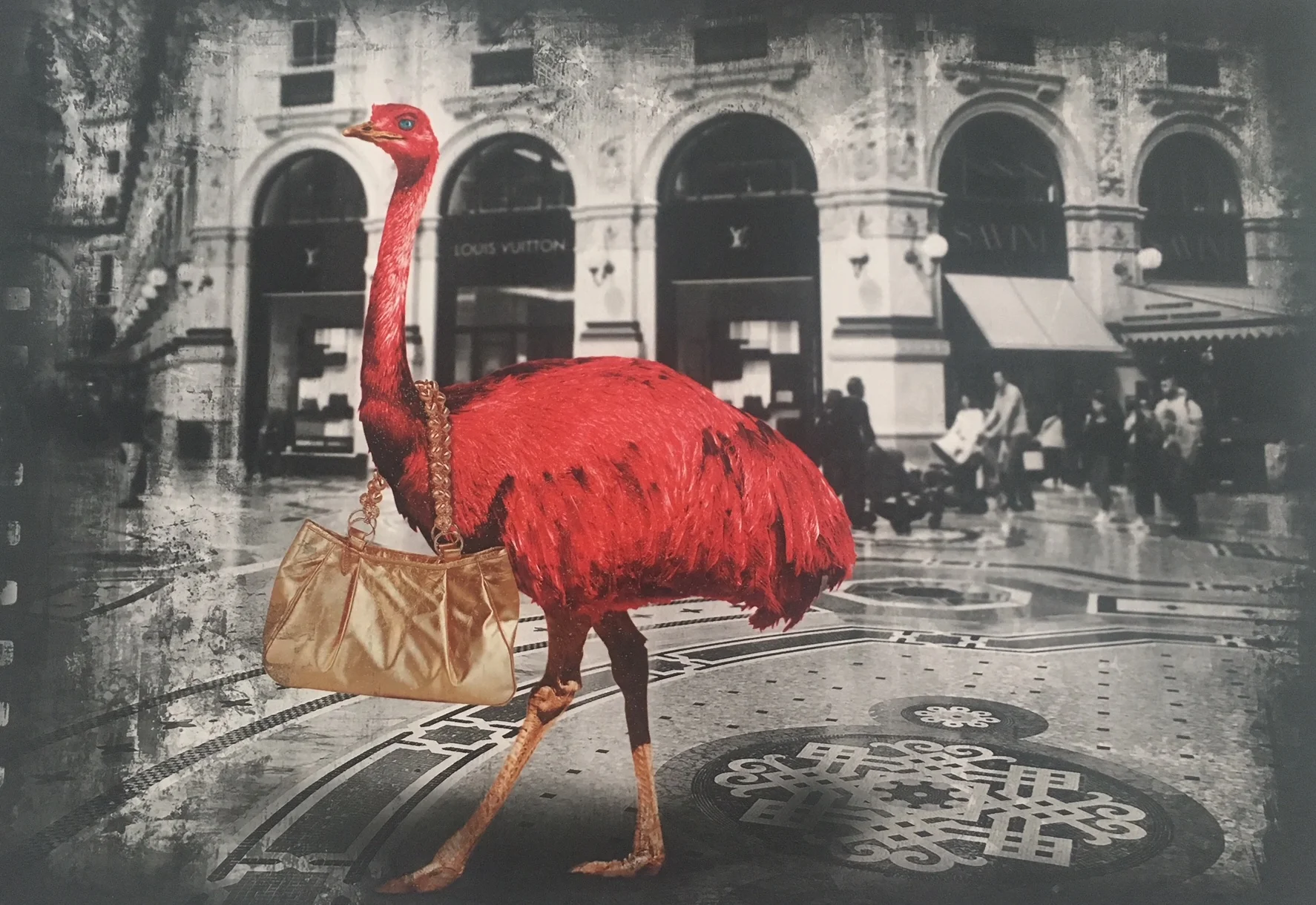 Looking For A New Handbag