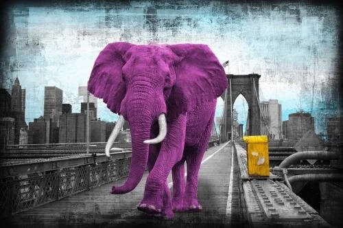Tripping on Brooklyn Bridge_Purple_ [a] NW.jpg