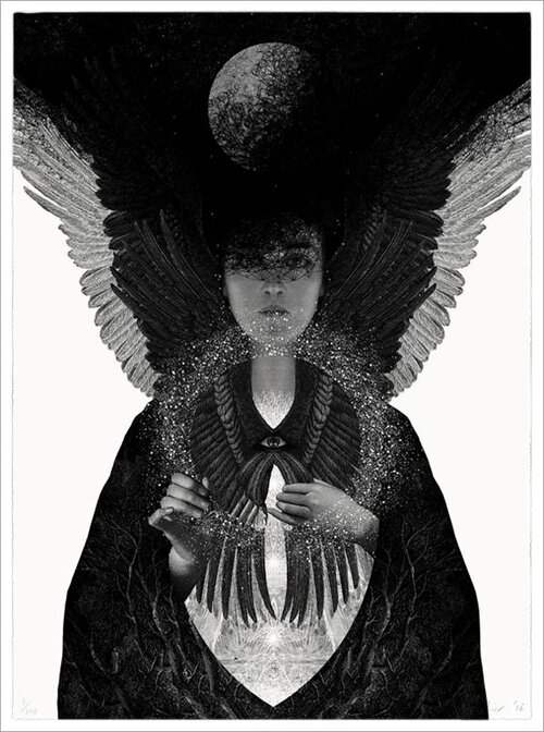 Dan Hillier Liberty Gallery