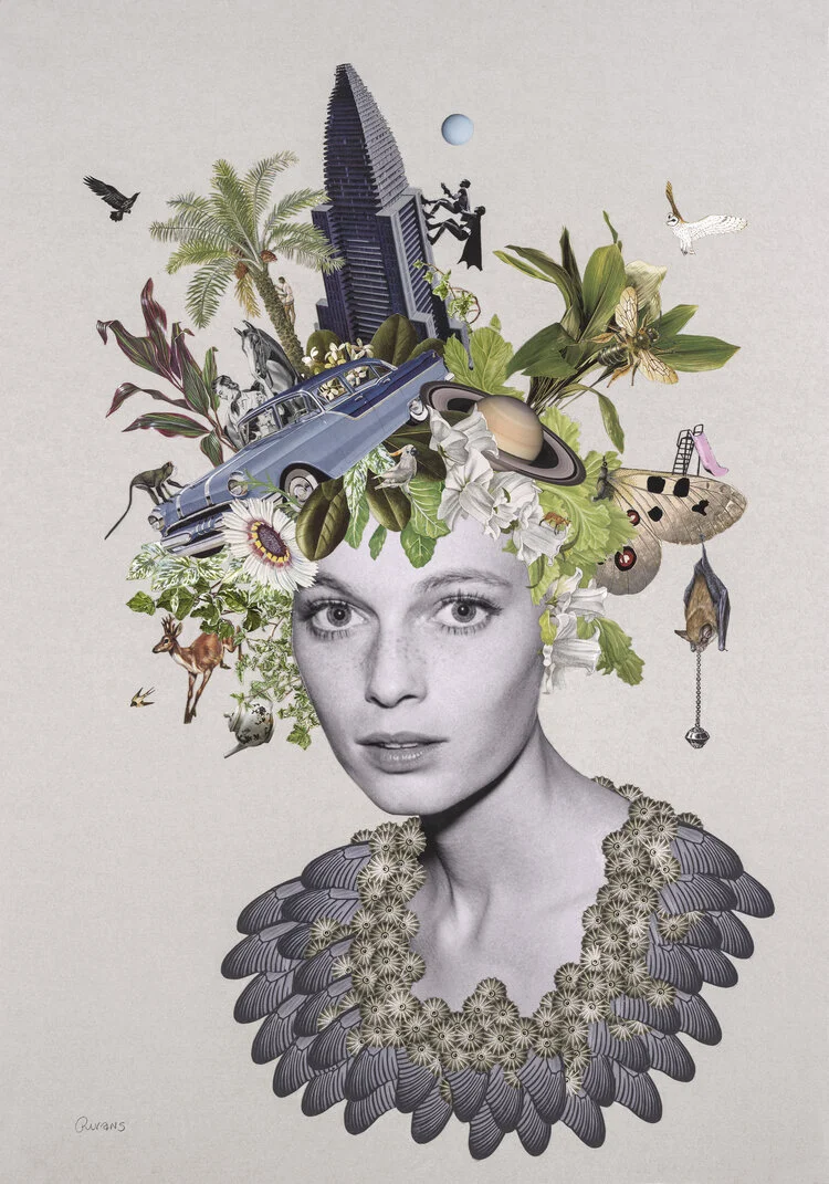 Maria Rivans Projects Maria Rivans | Liberty Gallery — liberty-gallery