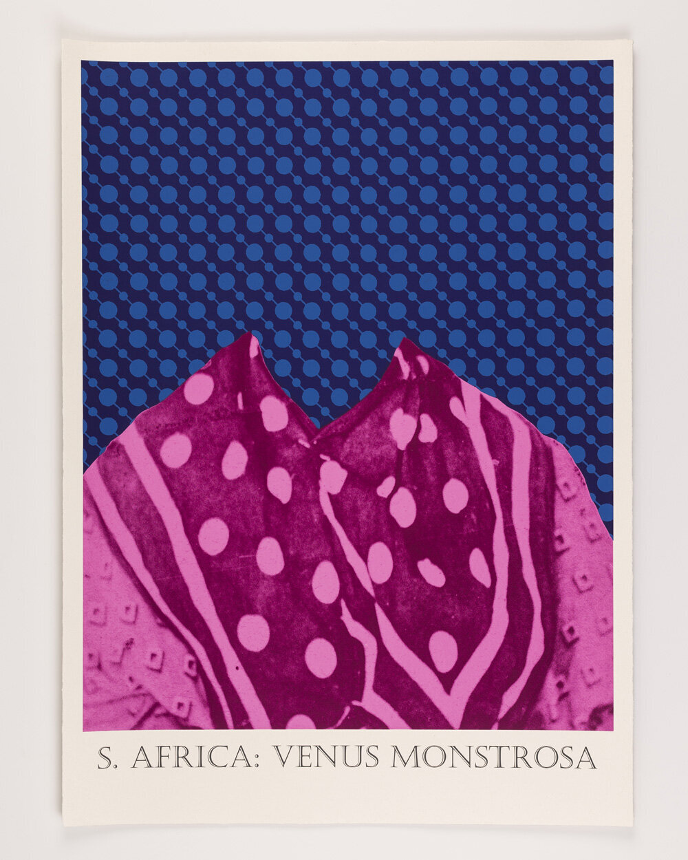 S. Africa: Venus Monstrosa