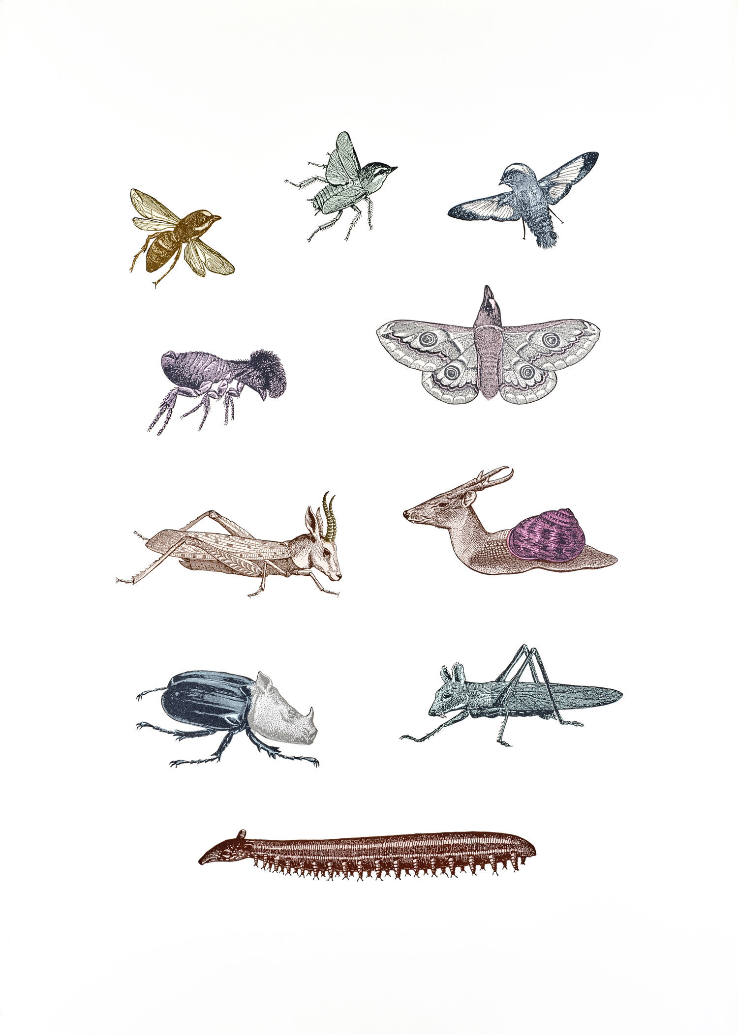 Animated Animals of the Small Kind