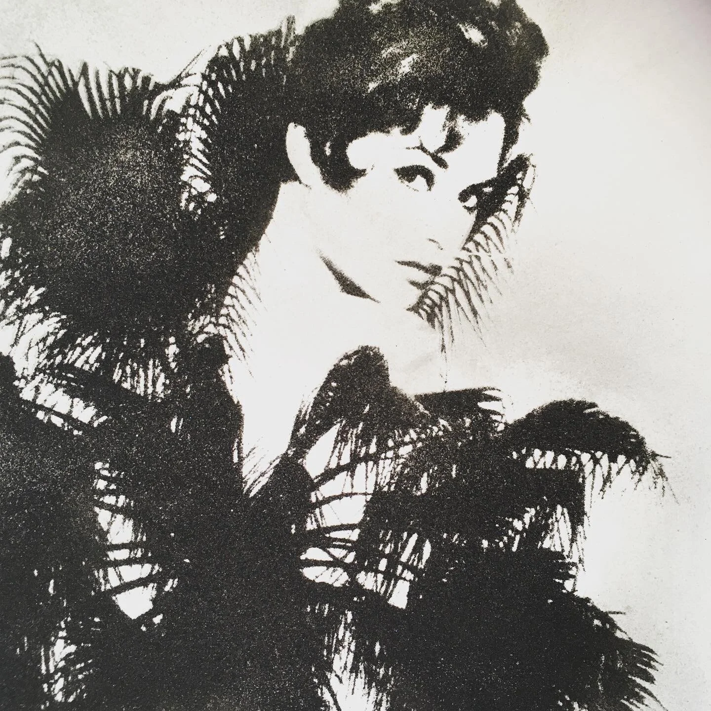 Brigitte Bardot - Faded Palm