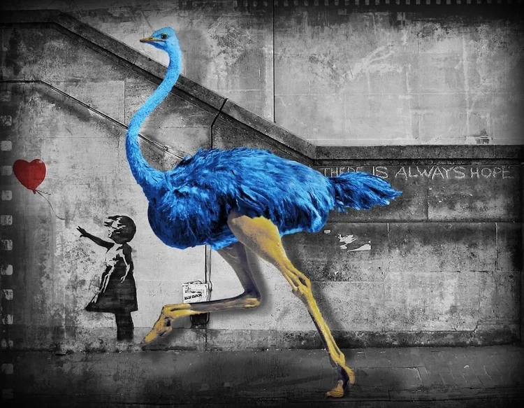 ☆Europeam Bob作品『Chase The Rainbow』Banksy 【公式通販】