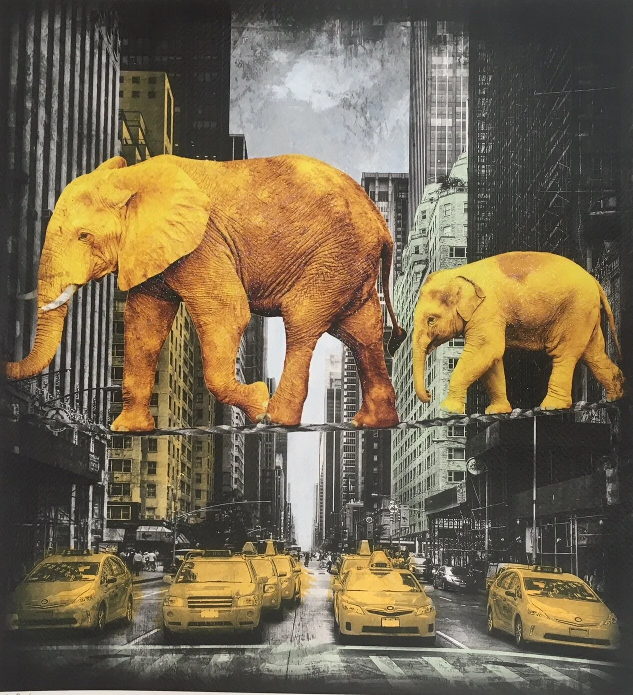 High In New York - Next Generation