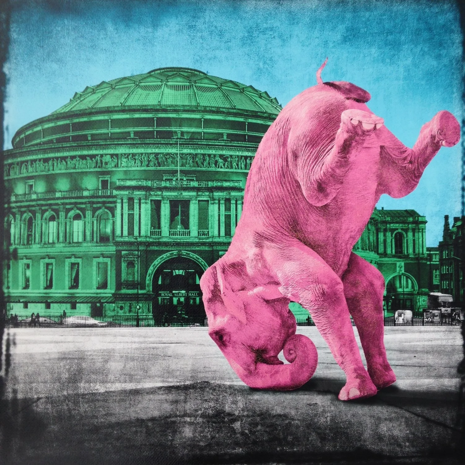 Showing Off Hoping For A Gig