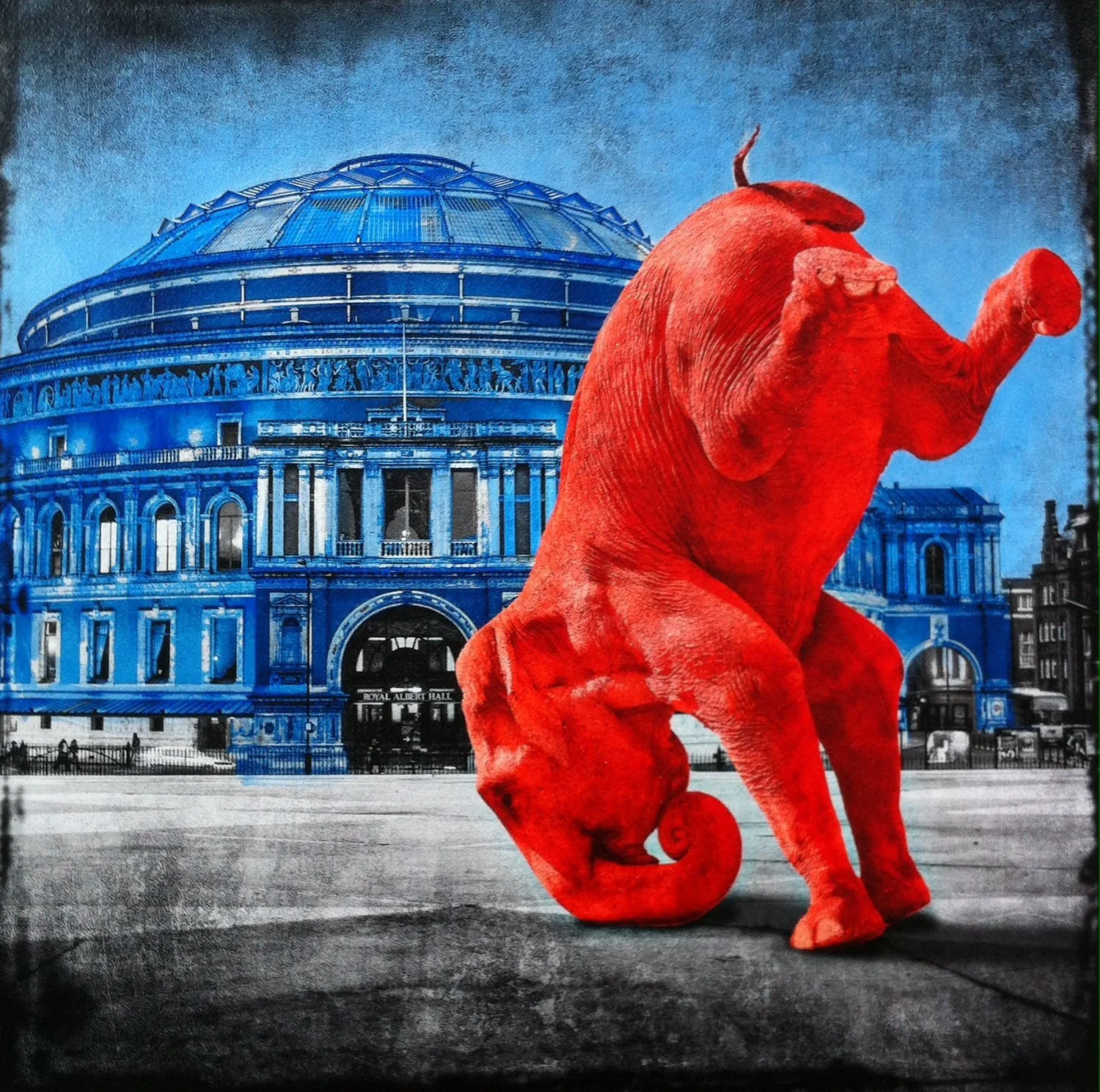 Showing Off Hoping For A Gig