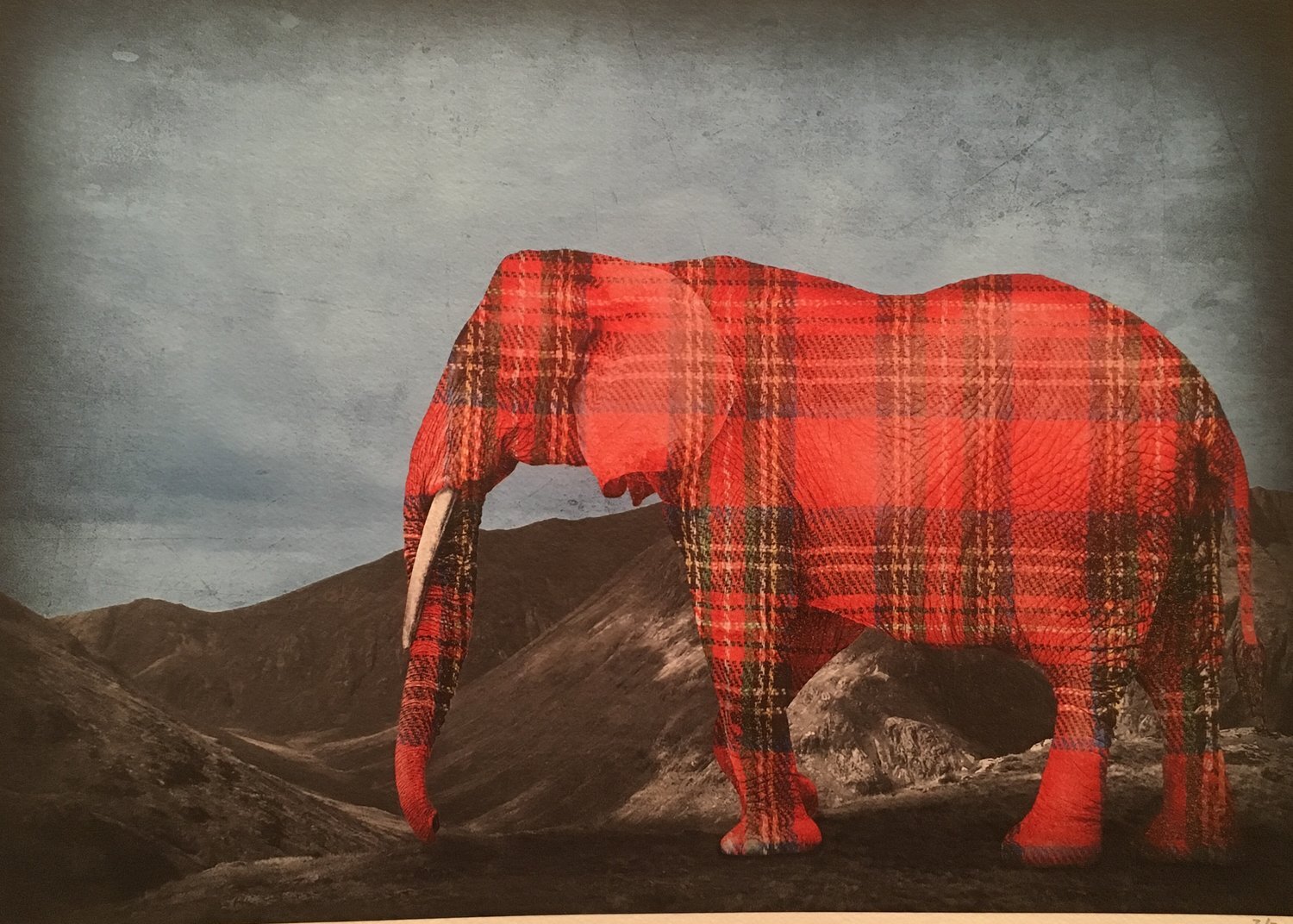 Checking Out The Highlands