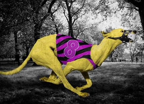 Working Out In Hyde Park