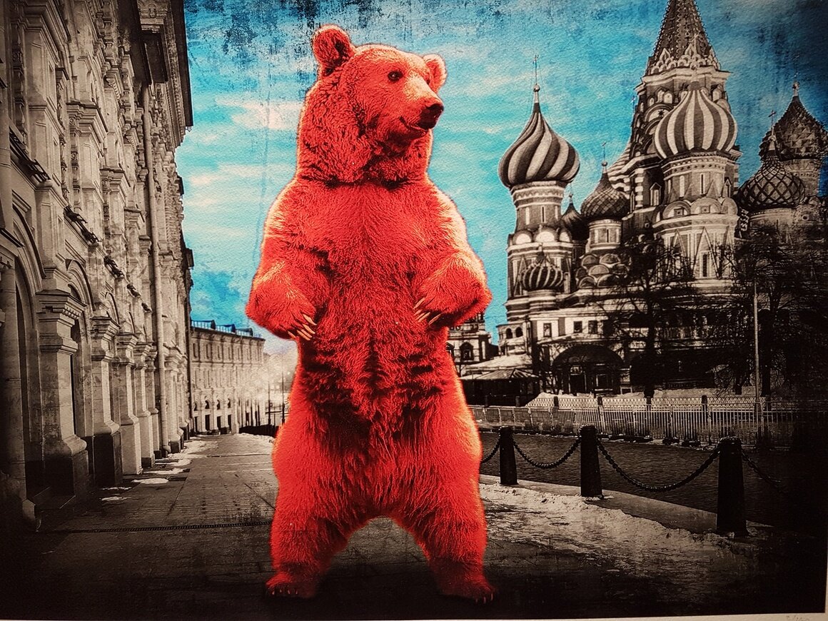 Red Square Bear