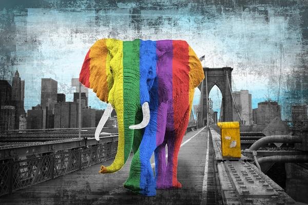Tripping On Brooklyn Bridge - Rainbow