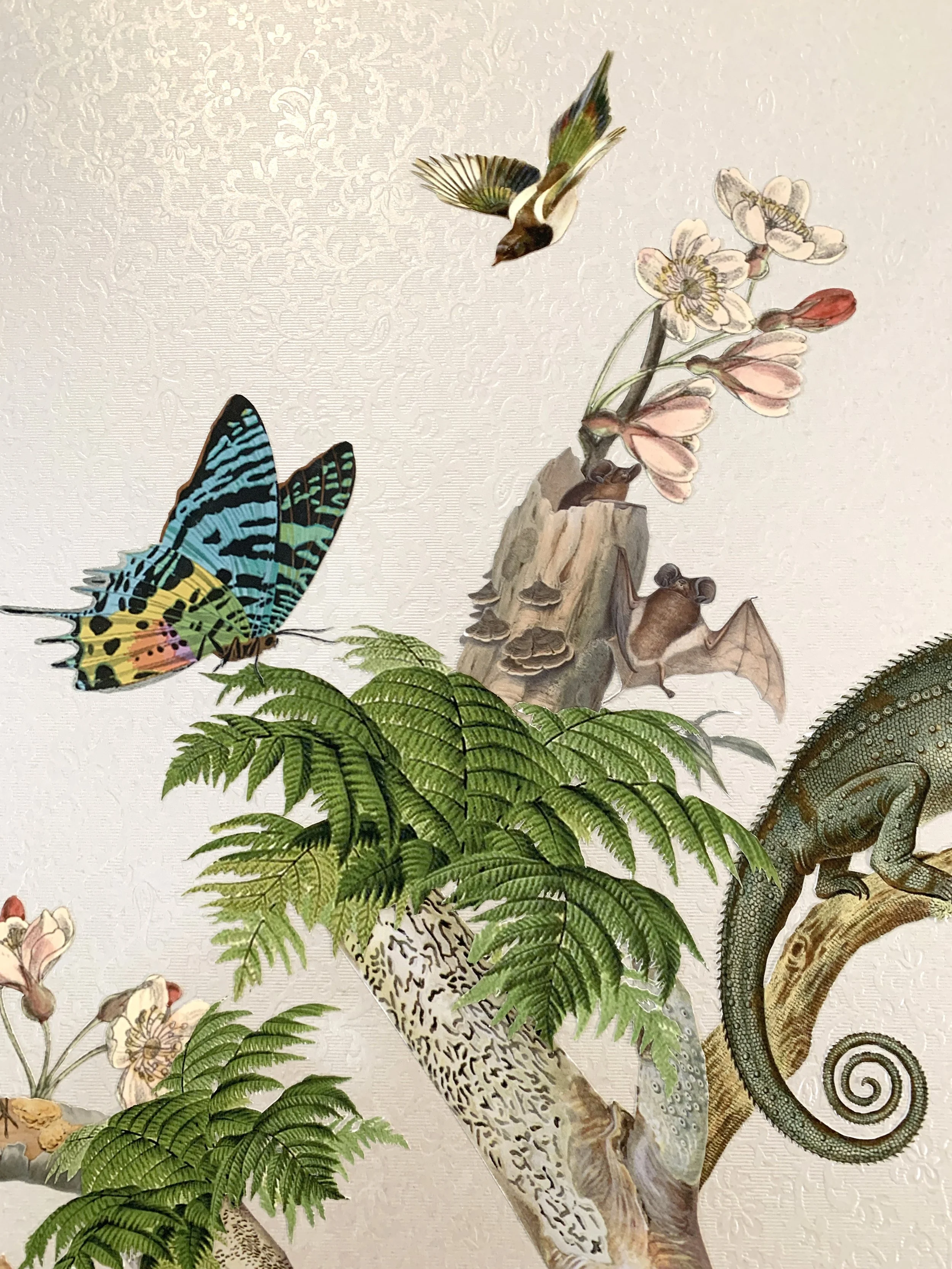 Arabella_Maria Rivans_Liberty Gallery close up butterfly.jpg
