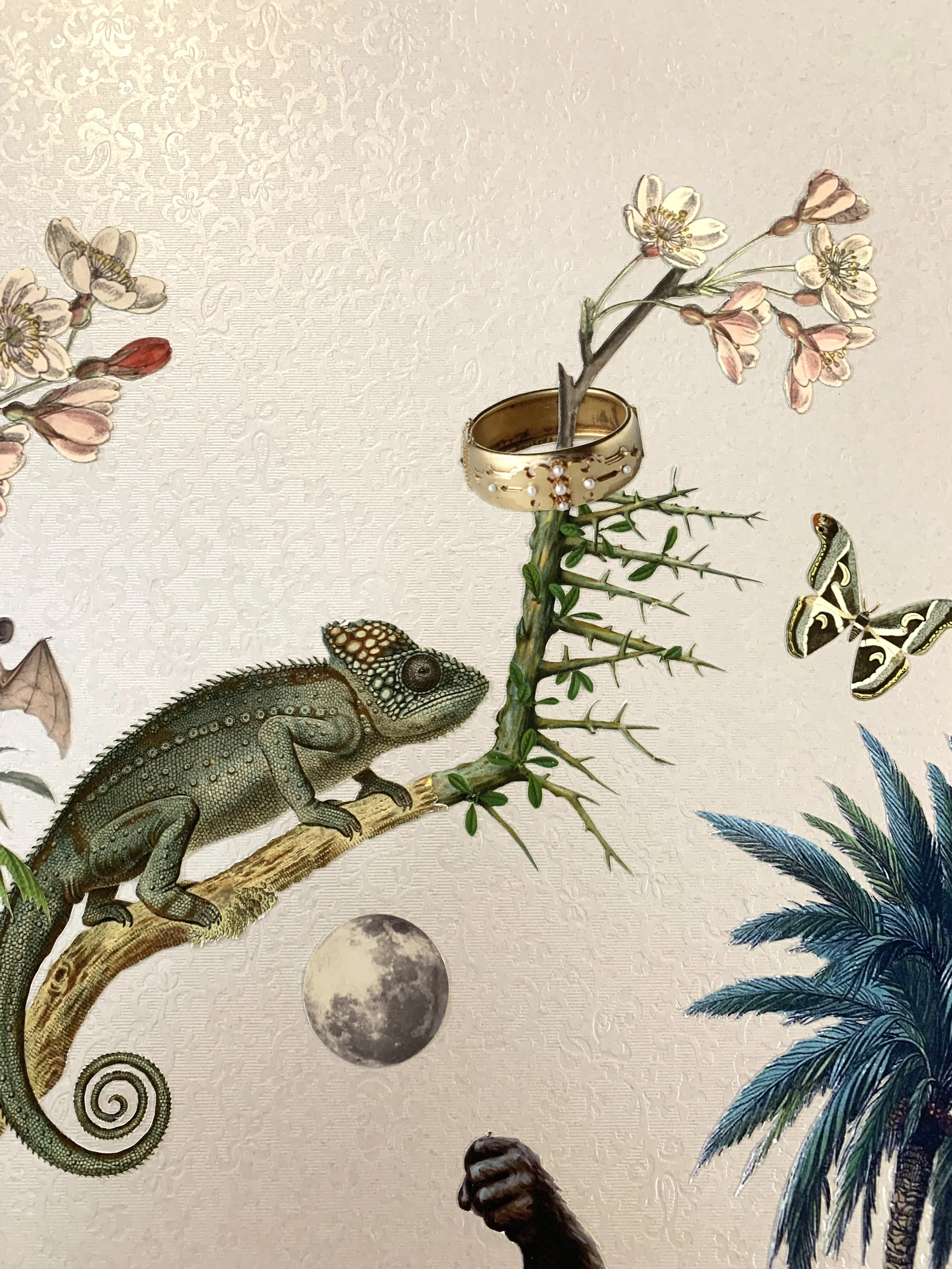 Arabella_Maria Rivans_Liberty Gallery close up chameleon.jpg