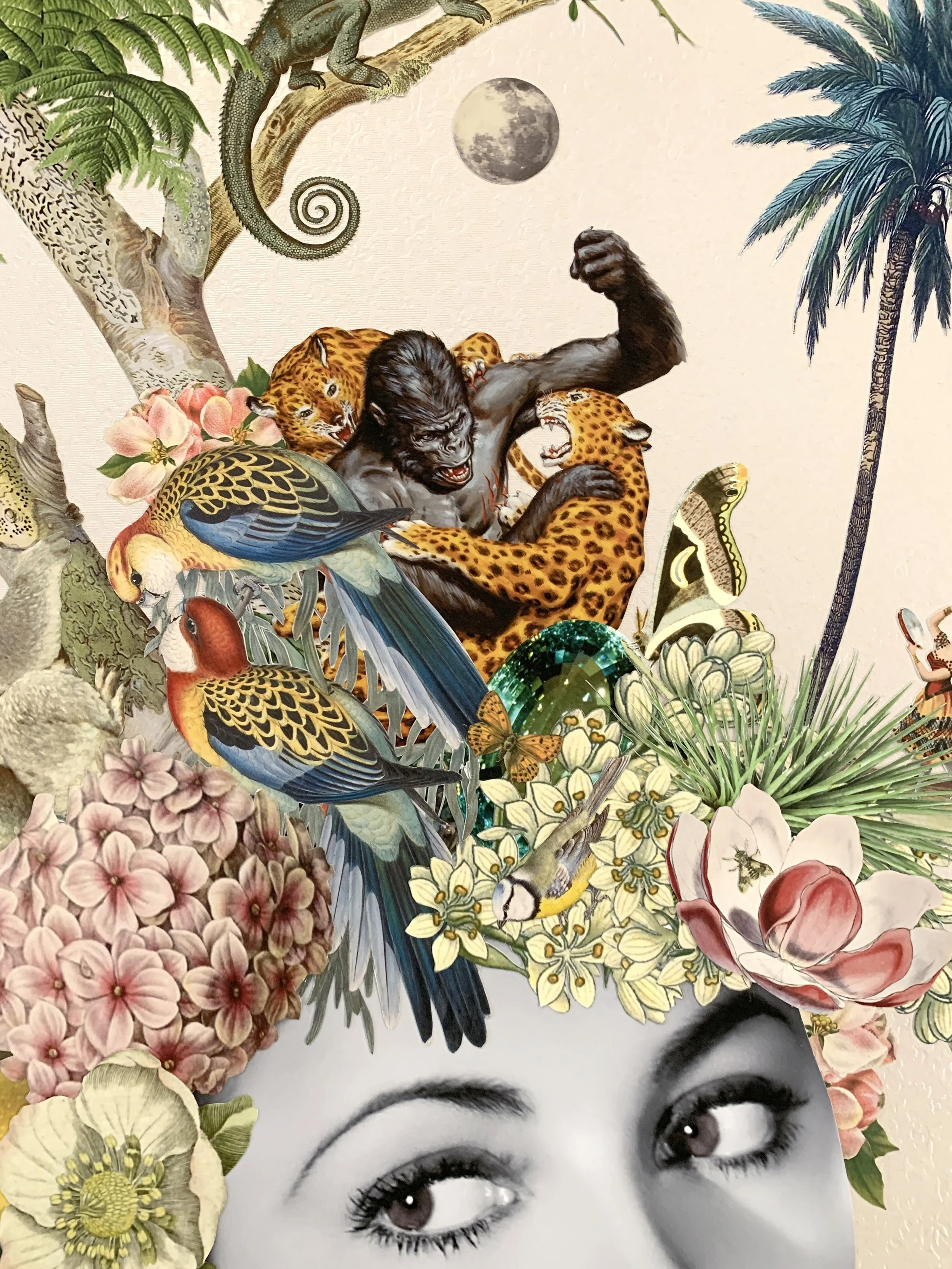 Arabella_Maria Rivans_Liberty Gallery close up gorilla.jpg