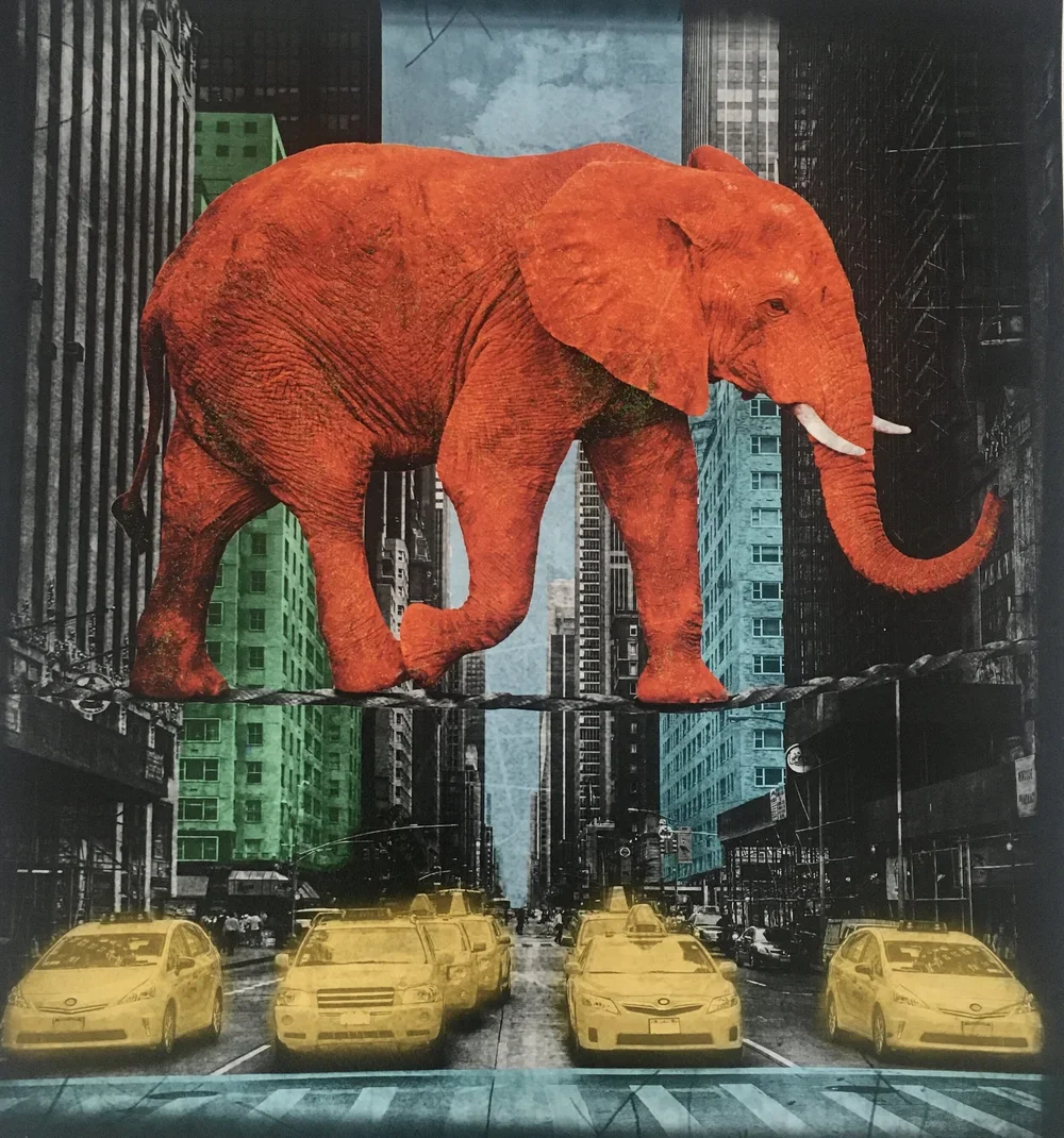 Payment for 'High In New York'