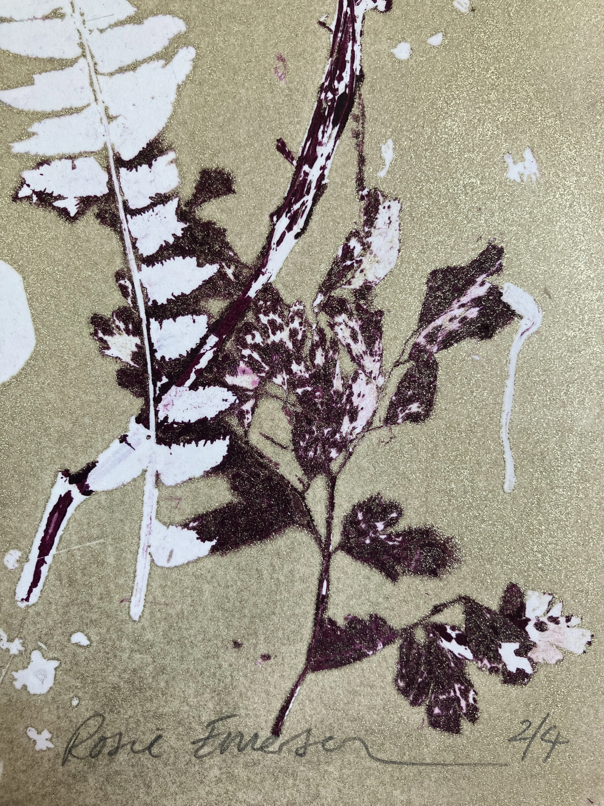 Fictions_Rosie Emerson_Liberty Gallery 4