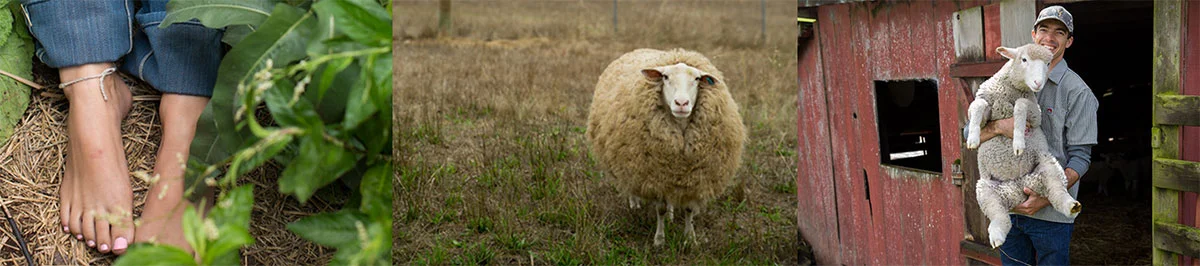 fibershed-the-beginning.jpg