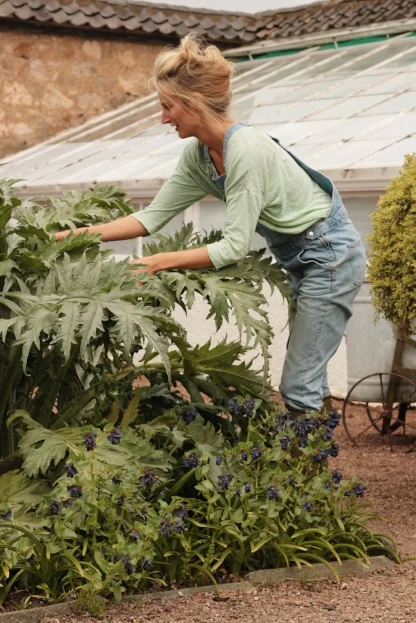Susie Coupar Lady Gardener 2.jpg
