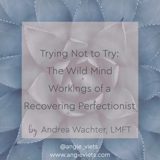 Trying Not to Try: The Wild Mind Workings of a Recovering Perfectionist