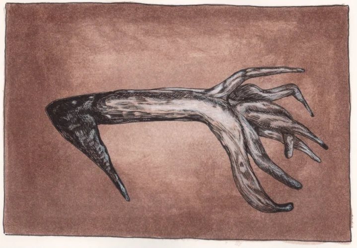 Untitled Live Drawing
