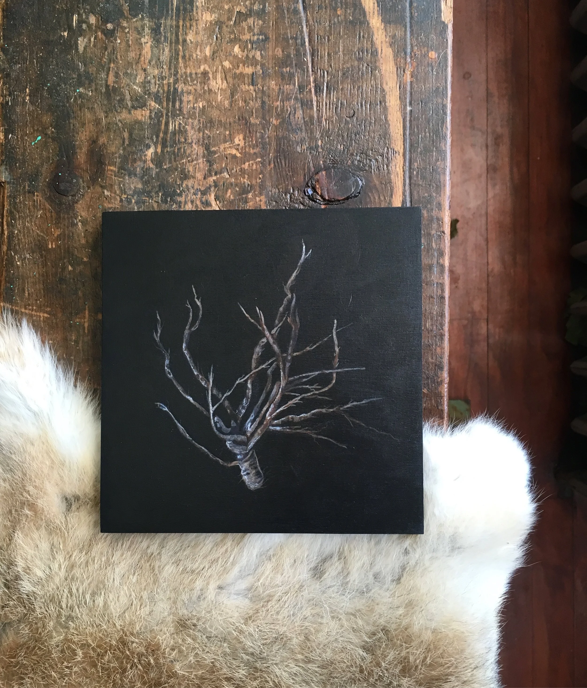 Part 1: Creator | No.3: root/bulb/seed 