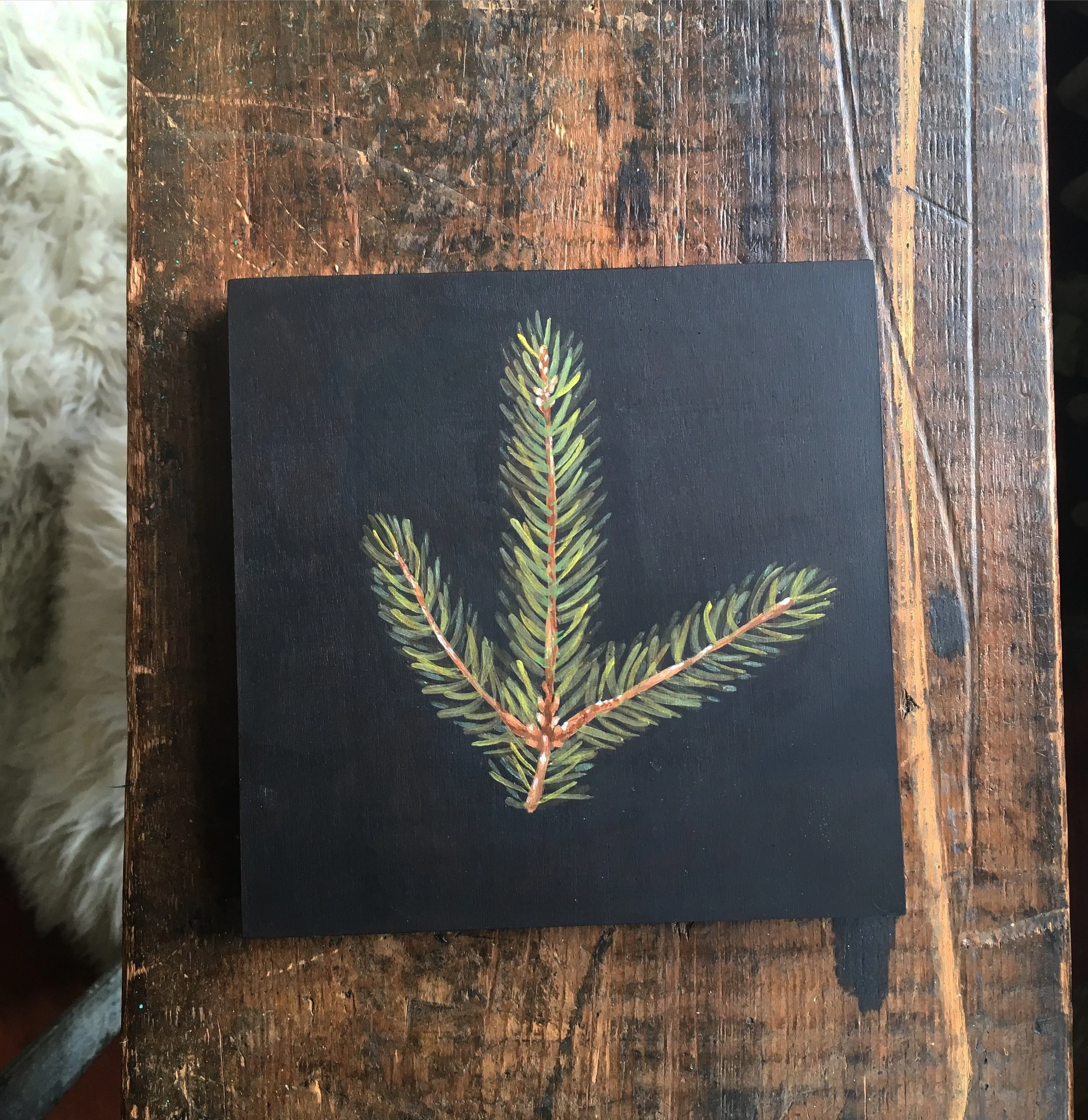 Part 1: Creator | No.6: evergreen