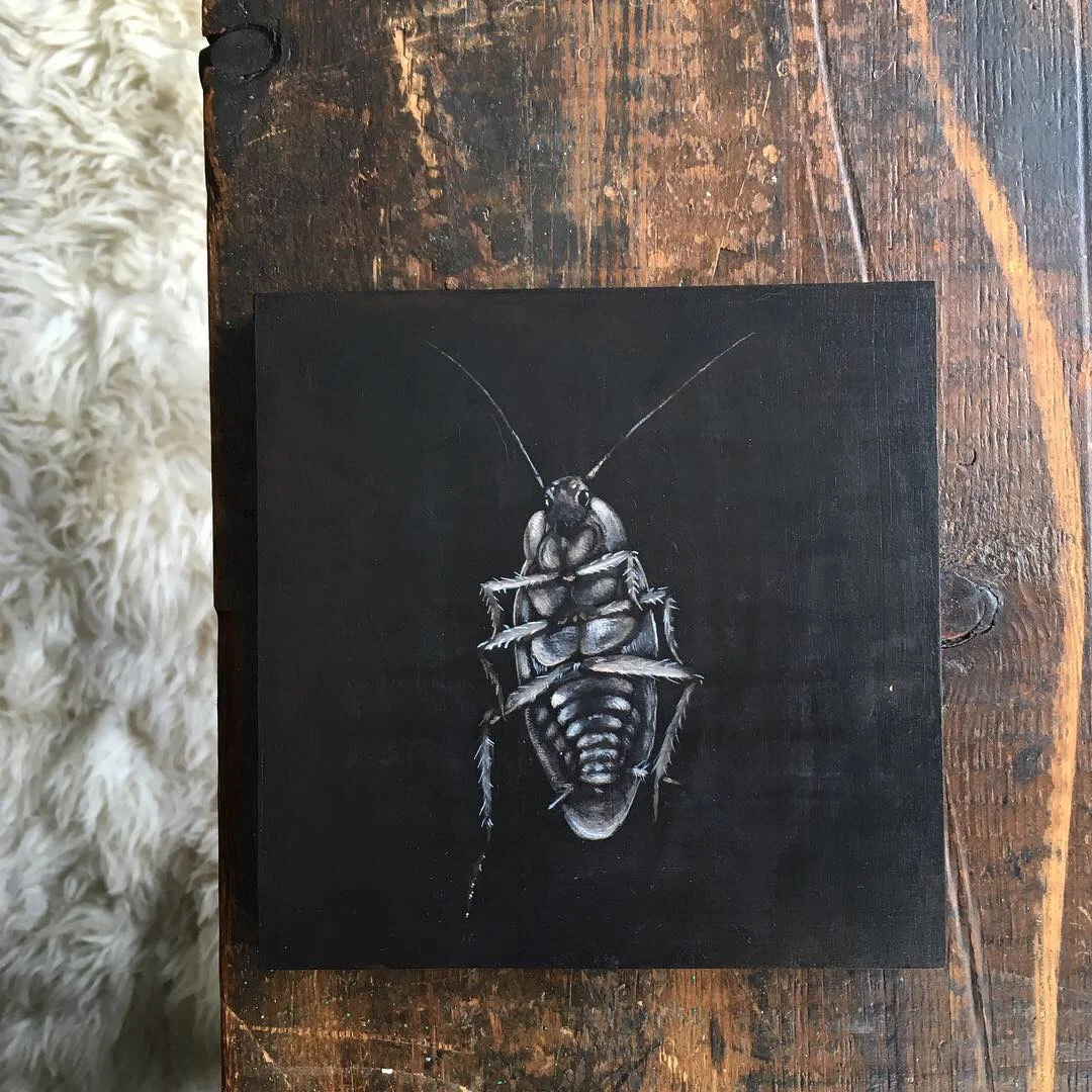 Part 3: Death | No. 21: roach