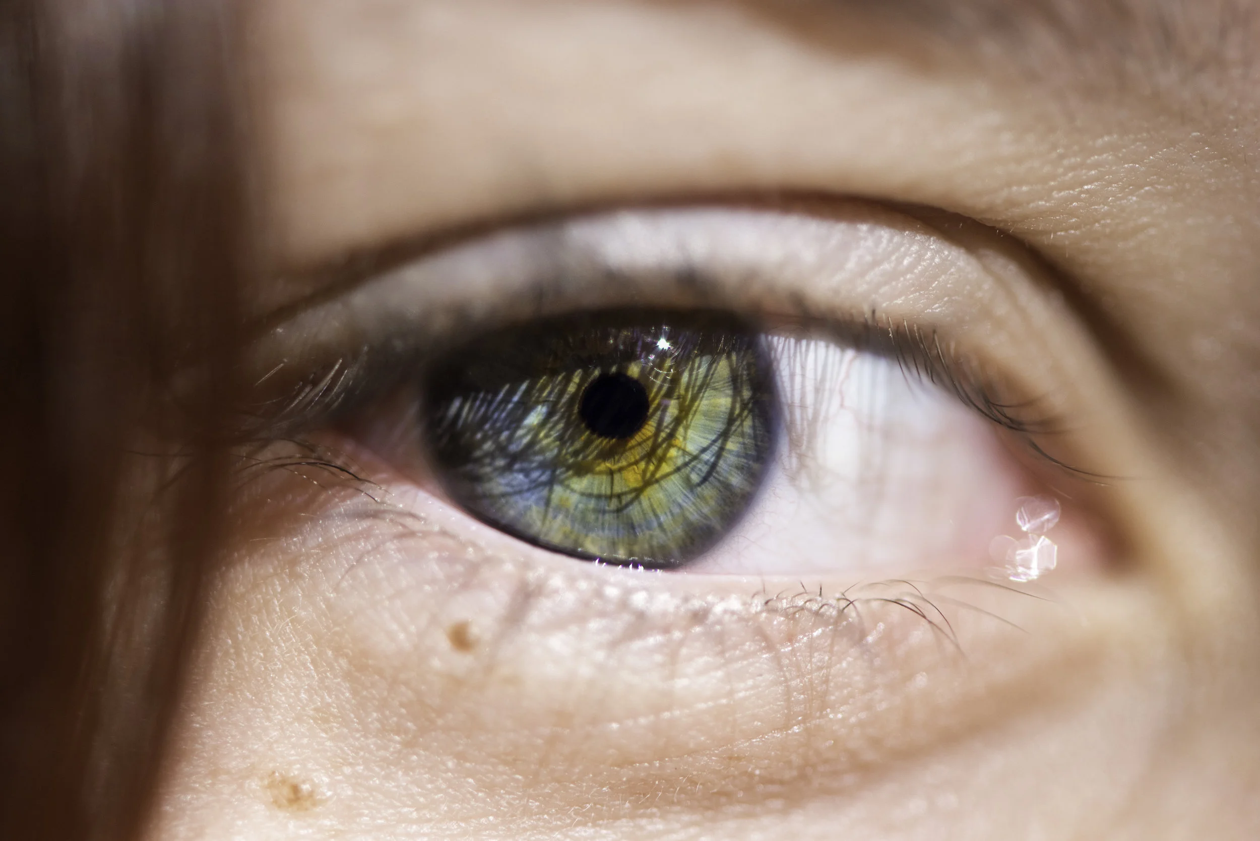 Laura2_eyes2.jpg