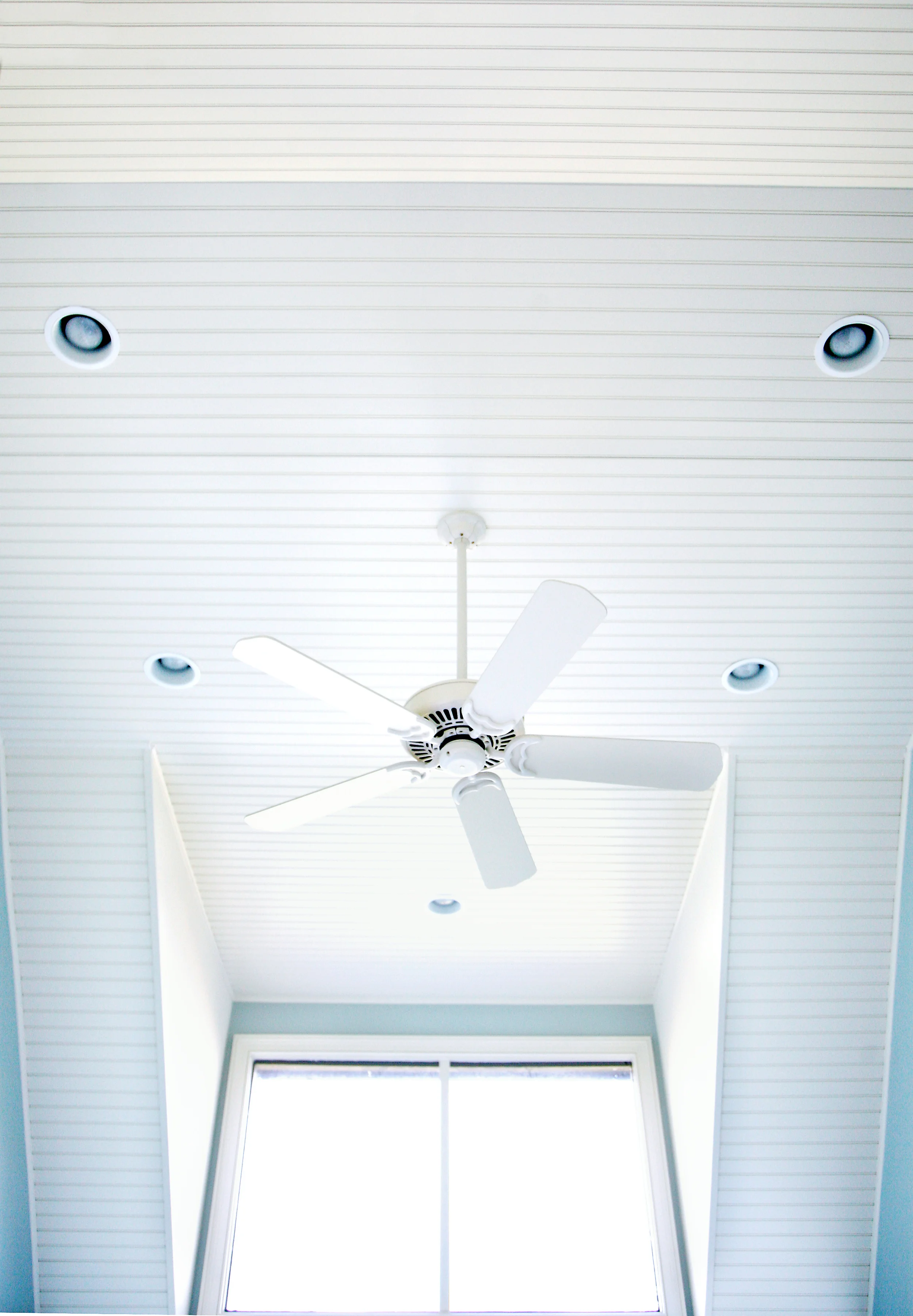 ceiling_1.jpg