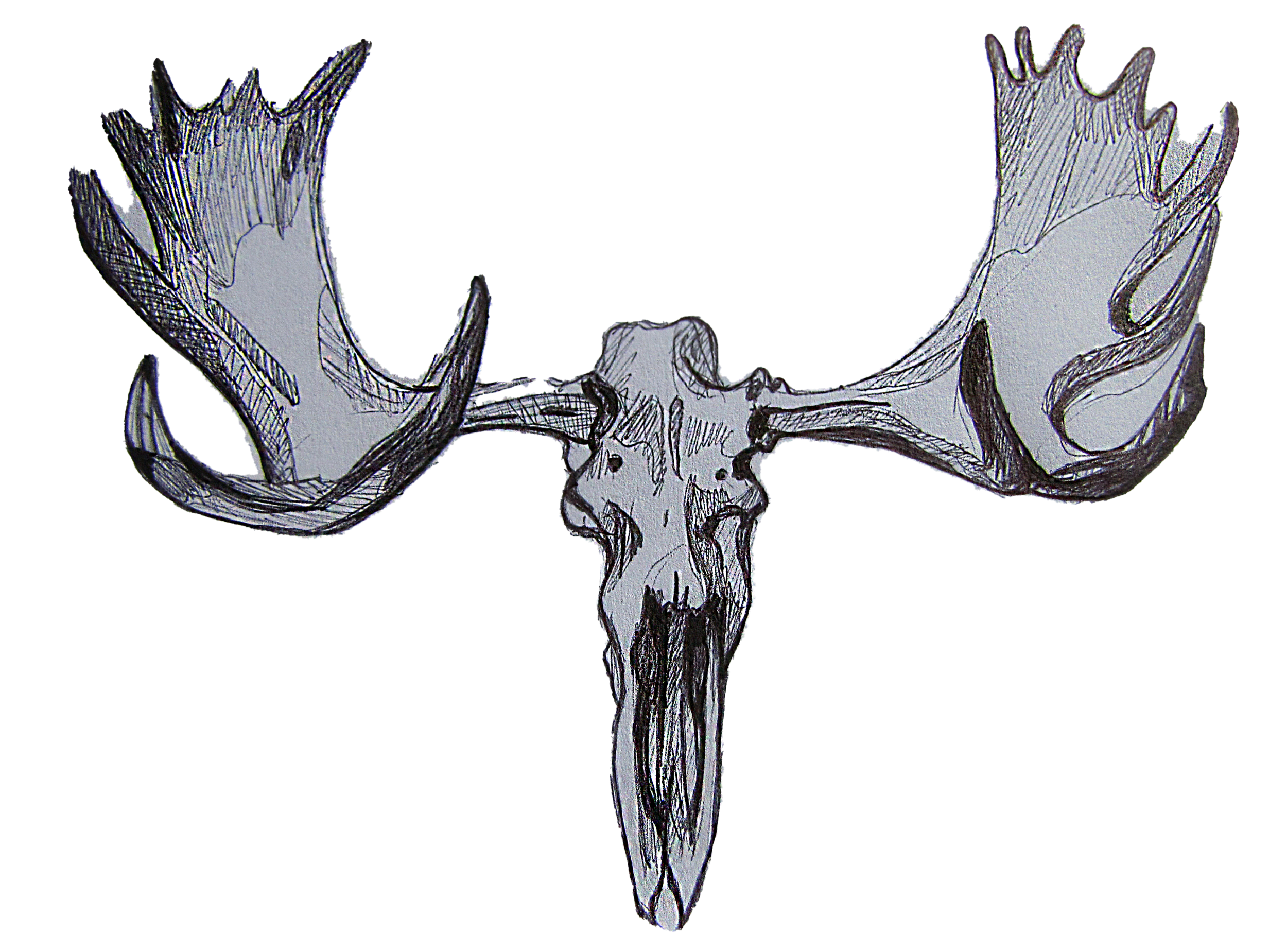 Gina Marie Bernard: 2 poems (Taxonomies excerpt)