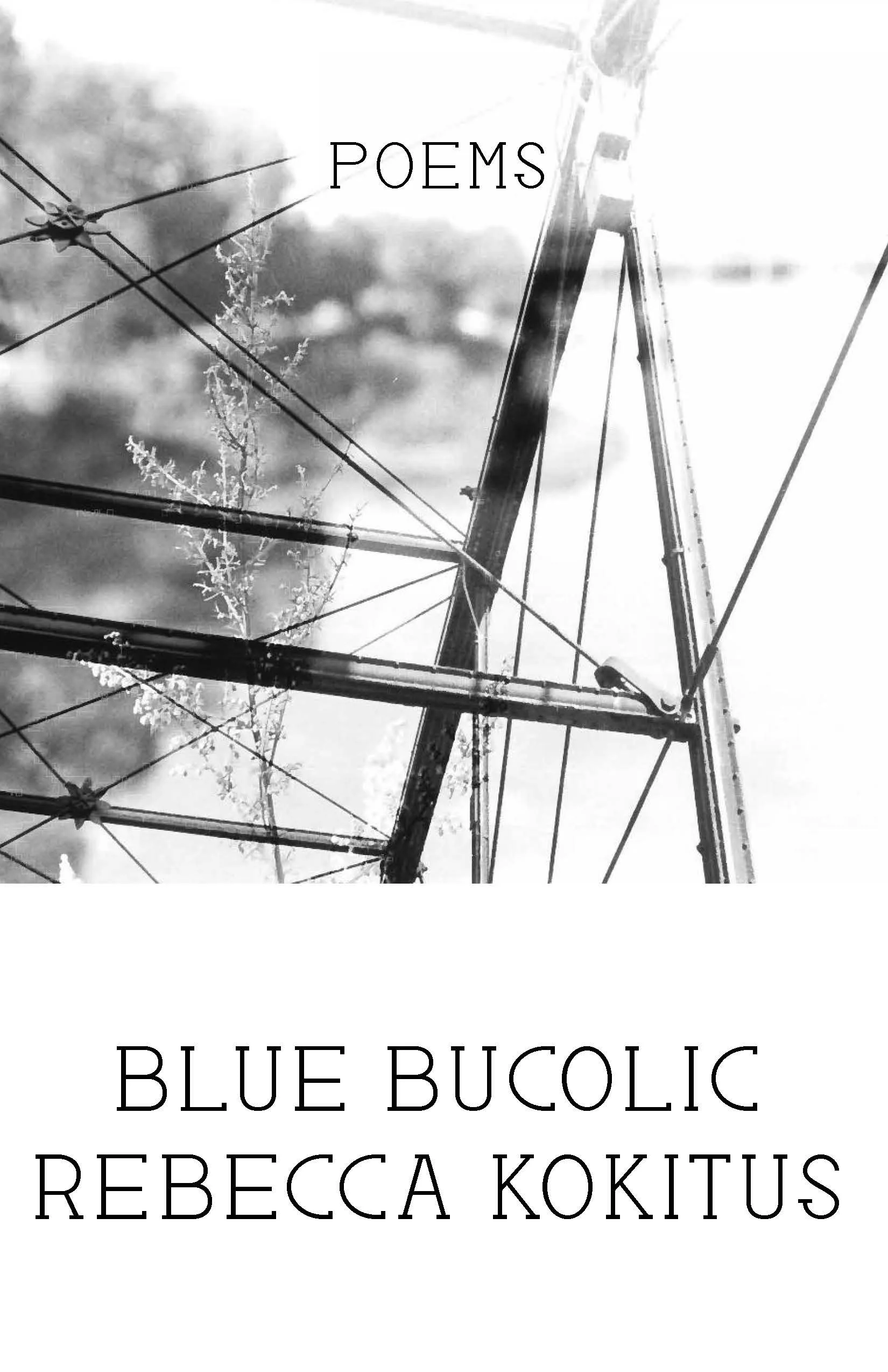 Blue Bucolic Cover Shop.jpg