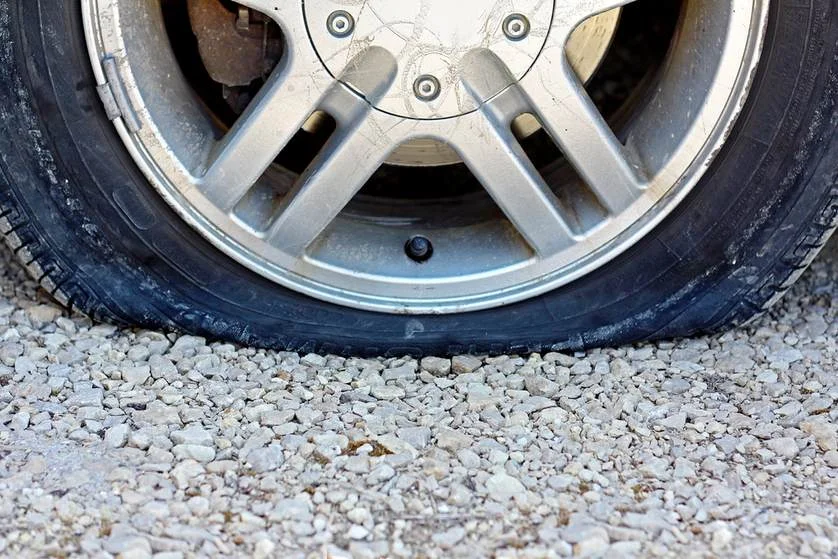 flat.jpg